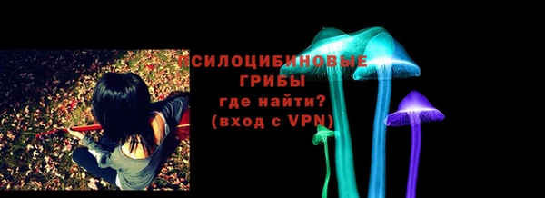 твердый Алзамай