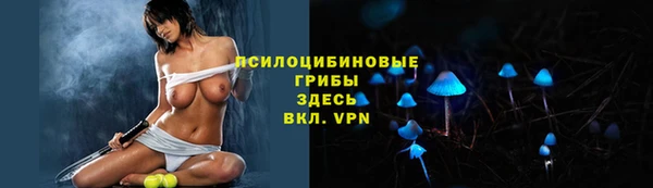 стафф Алексин