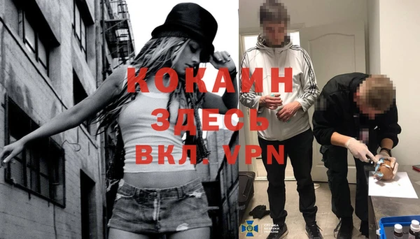 твердый Алзамай