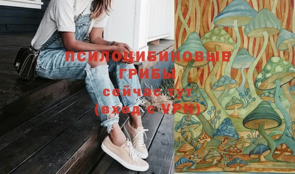 шишки Алексеевка
