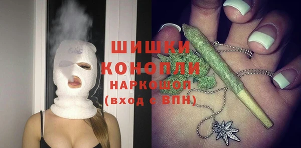 шишки Алексеевка