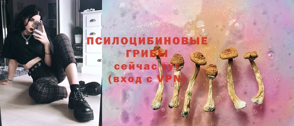 стафф Алексин