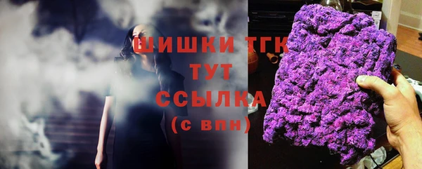 шишки Алексеевка